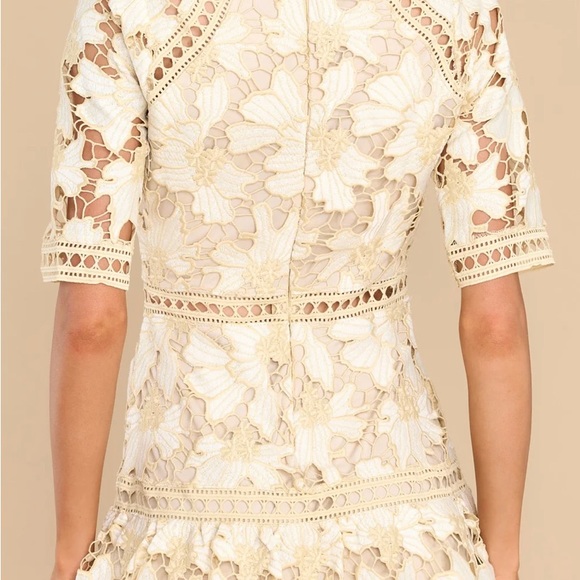Oblivious Beauty Ivory Lace dress - Picture 2 of 4